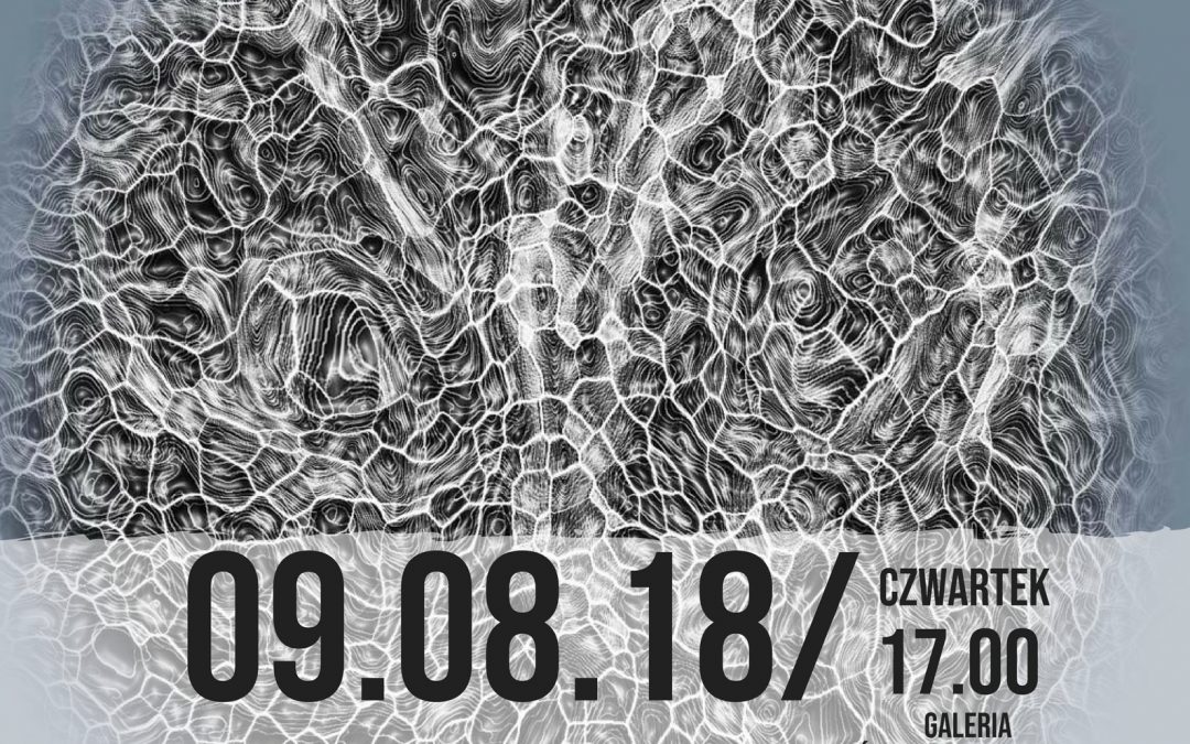 Wernisaż wystawy „Fantasmagorie i Wyspy Szczęścia” Erazma Wojciecha Felcyna 9.08.2018 17:00